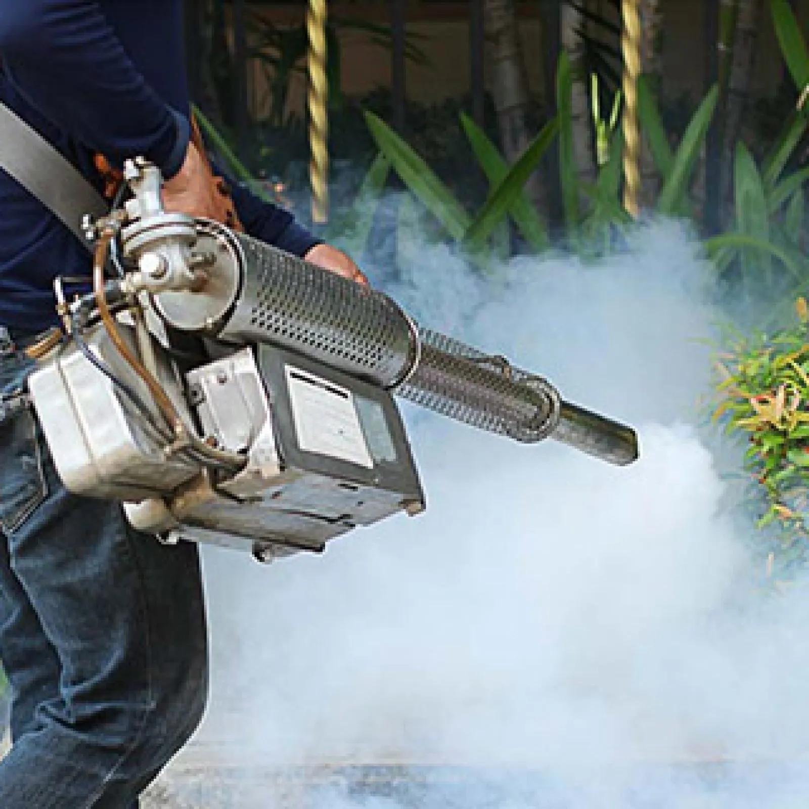 Eco-Friendly Pest Control in Chandigarh for Healthy Living